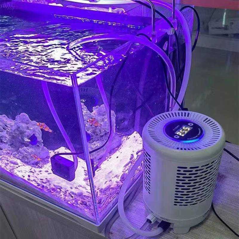 Aquarium Fish Uk - Balık tankı soğutucu denizanası tankı termostat
