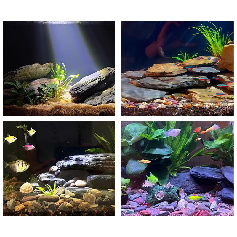 500/1000g Balık Tankı Peyzaj T - Aquarium Fish Types incelemesi ve fiyatı