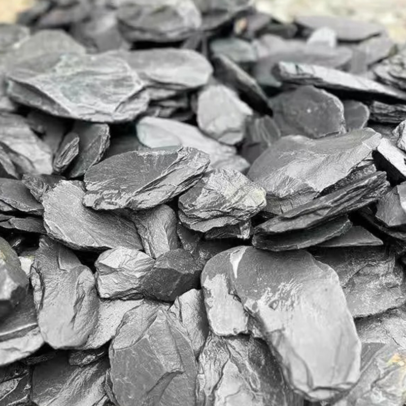 500/1000g Balık Tankı Peyzaj T - Aquarium Fish Types incelemesi ve fiyatı