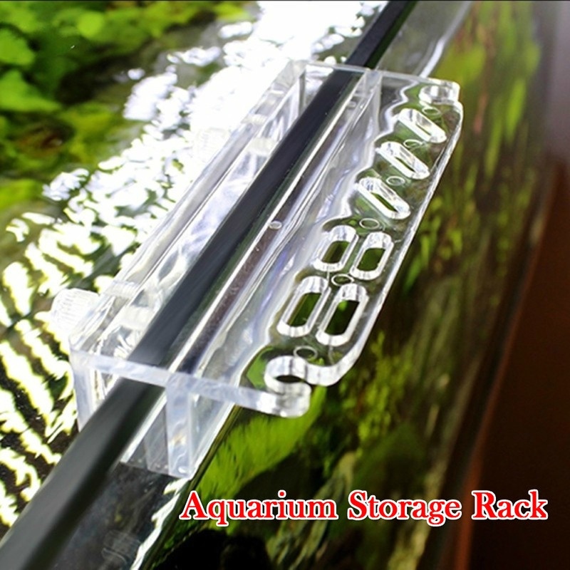 1 adet yeni akvaryum bitki ara - Aquarium Fish Types incelemesi ve fiyatı
