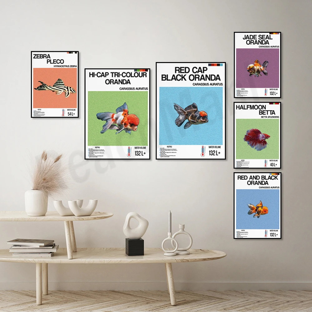 Balık bilgisi baskısı, süs bal - Aquarium Fish Zebra incelemesi ve fiyatı