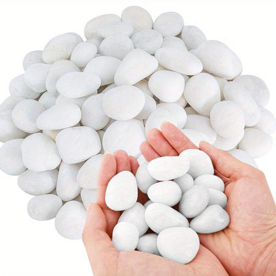 200/400g Beyaz Yüksek Parlaklı - Aquarium Fish Types incelemesi ve fiyatı