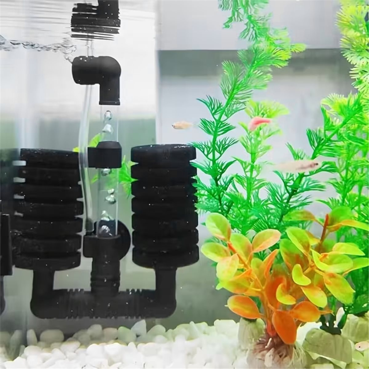 【OLMAZ GELMEZ MIŞARIMDAN GELME - Aquarium Fish List incelemesi ve fiyatı