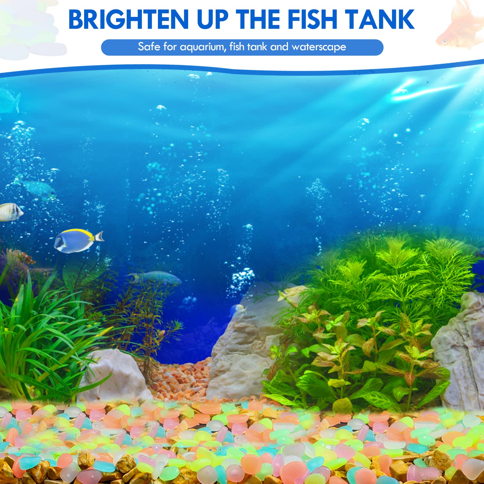 100 Adet Karanlıkta Glow Bahçe - Aquarium Fish Types incelemesi ve fiyatı