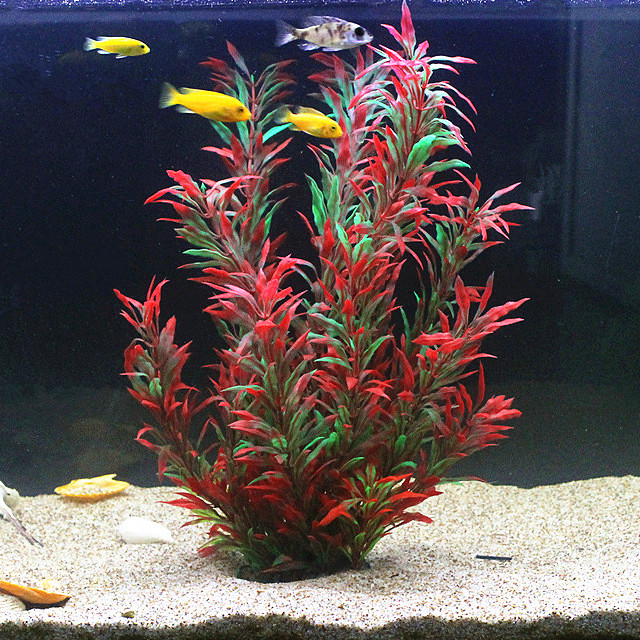 50 CM Yapay Balık Tankı Nadir  - Aquarium Fish Types incelemesi ve fiyatı