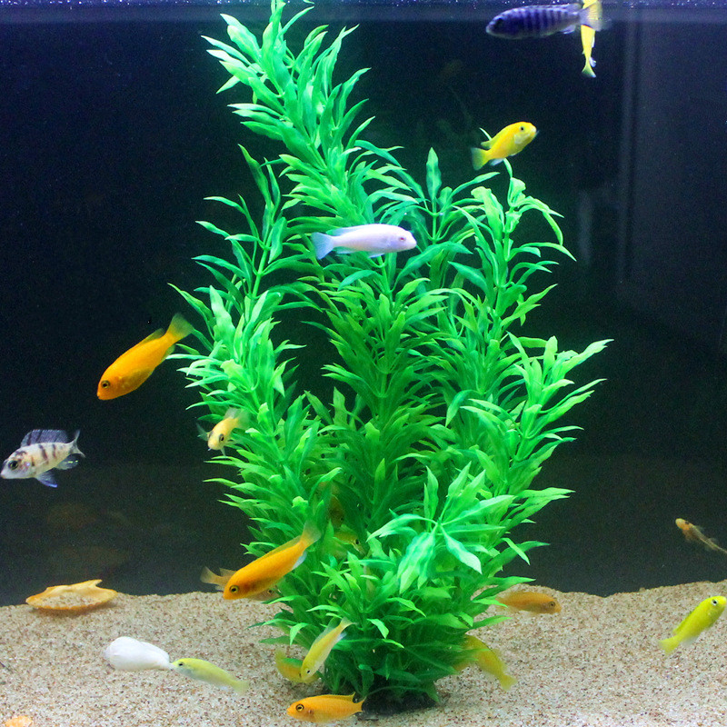 50 CM Yapay Balık Tankı Nadir  - Aquarium Fish Types incelemesi ve fiyatı