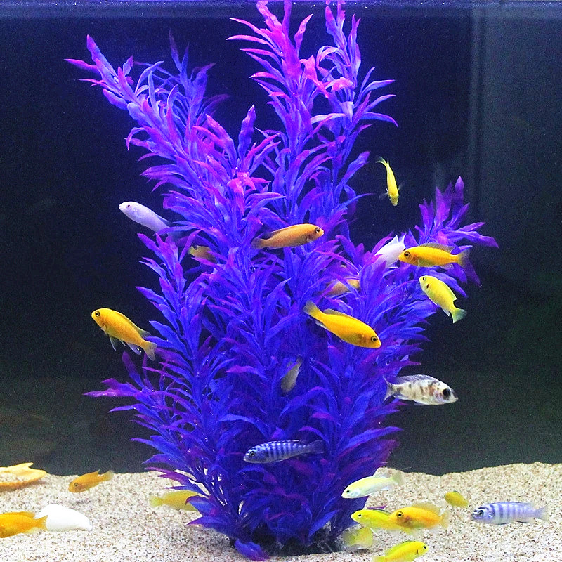 50 CM Yapay Balık Tankı Nadir  - Aquarium Fish Types incelemesi ve fiyatı