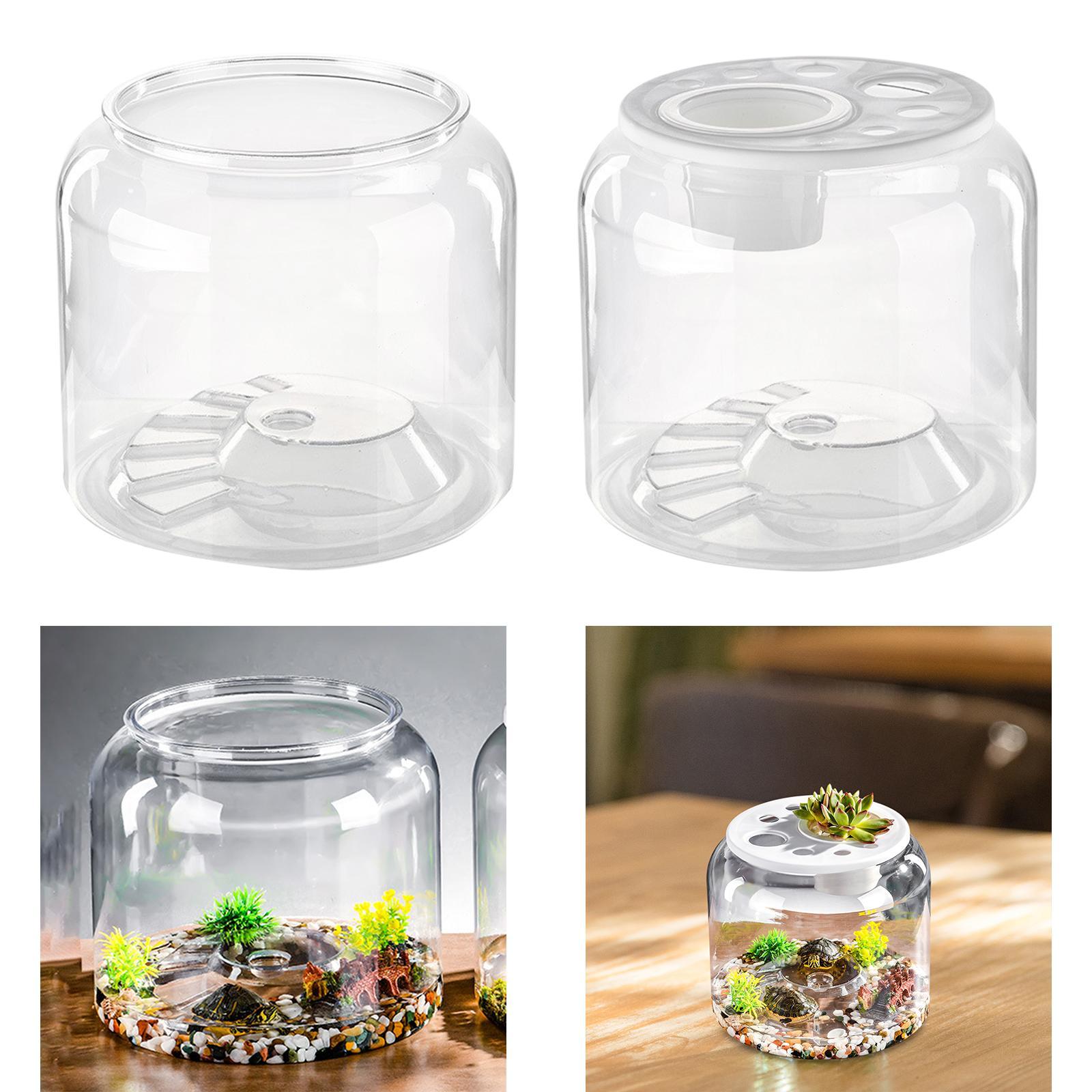 Daire Yatak Odası ve Salon İçi - Draw Fish Aquarium incelemesi ve fiyatı