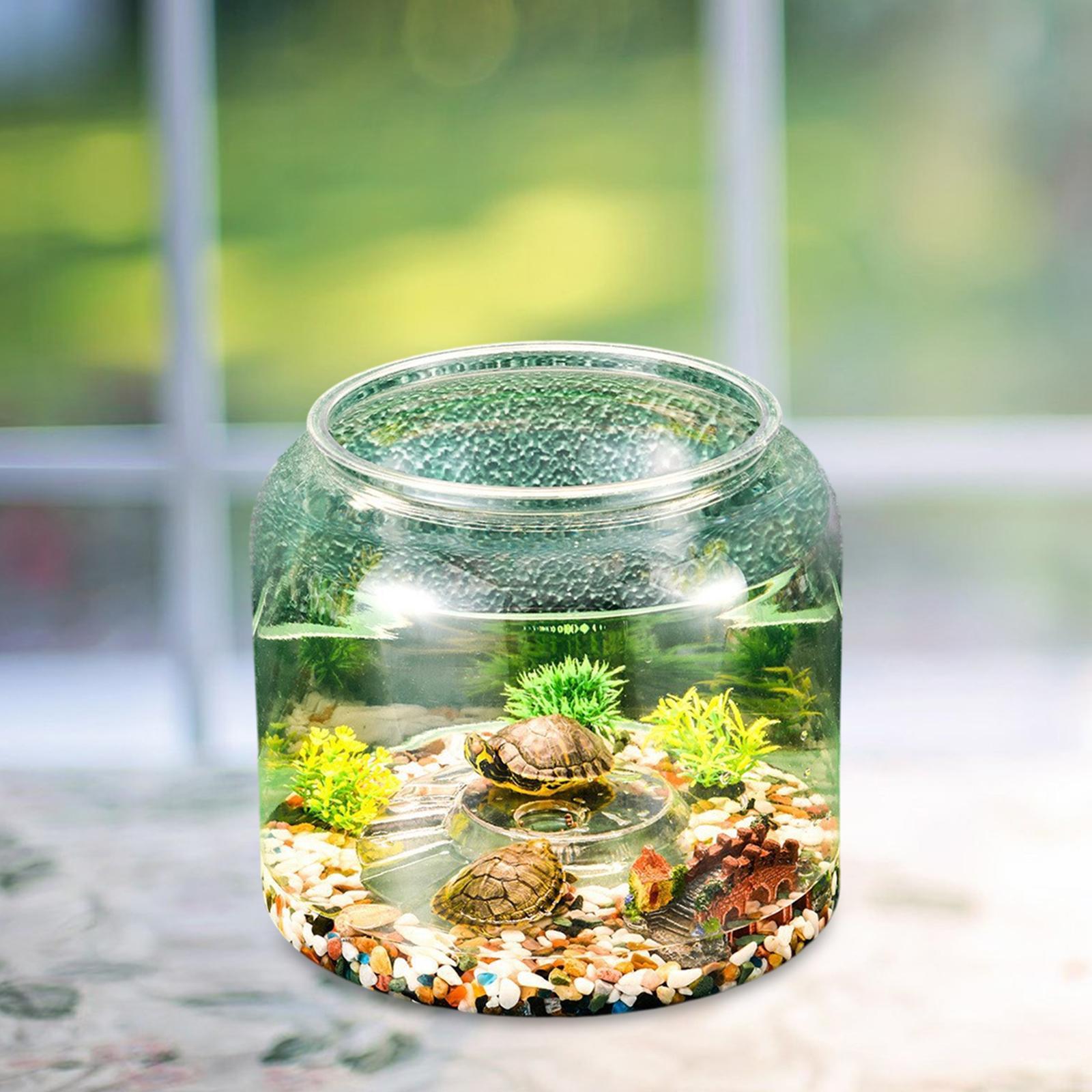 Daire Yatak Odası ve Salon İçi - Draw Fish Aquarium incelemesi ve fiyatı