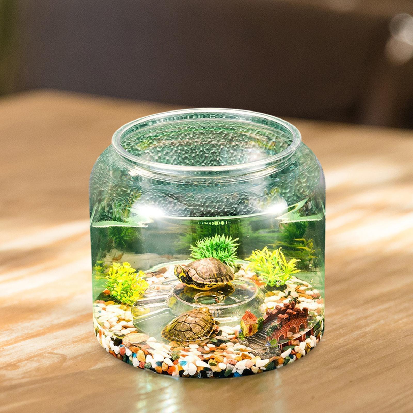 Daire Yatak Odası ve Salon İçi - Draw Fish Aquarium incelemesi ve fiyatı