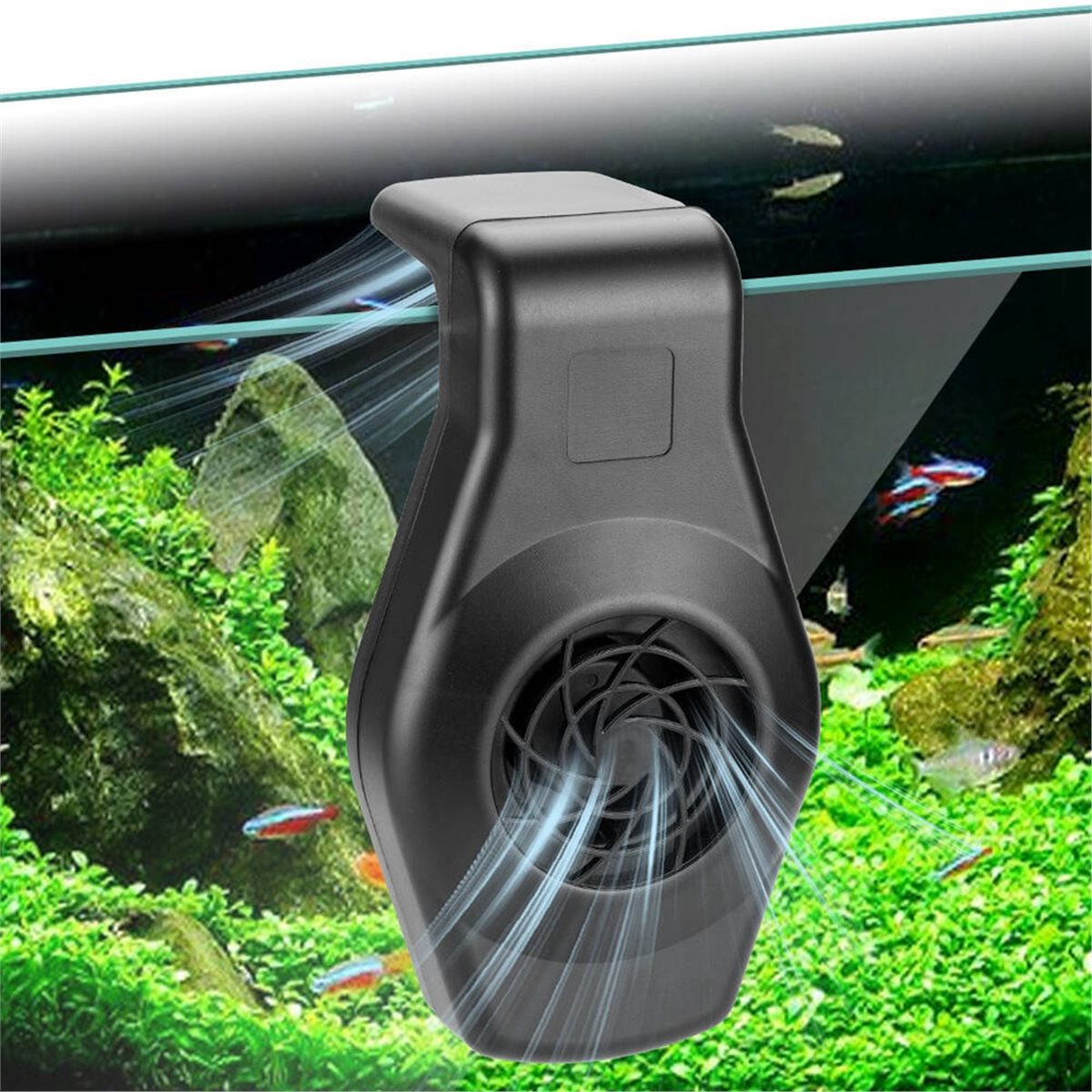 Büyük İndirimli Mini Akvaryum  - Aquarium Fish Uk incelemesi ve fiyatı