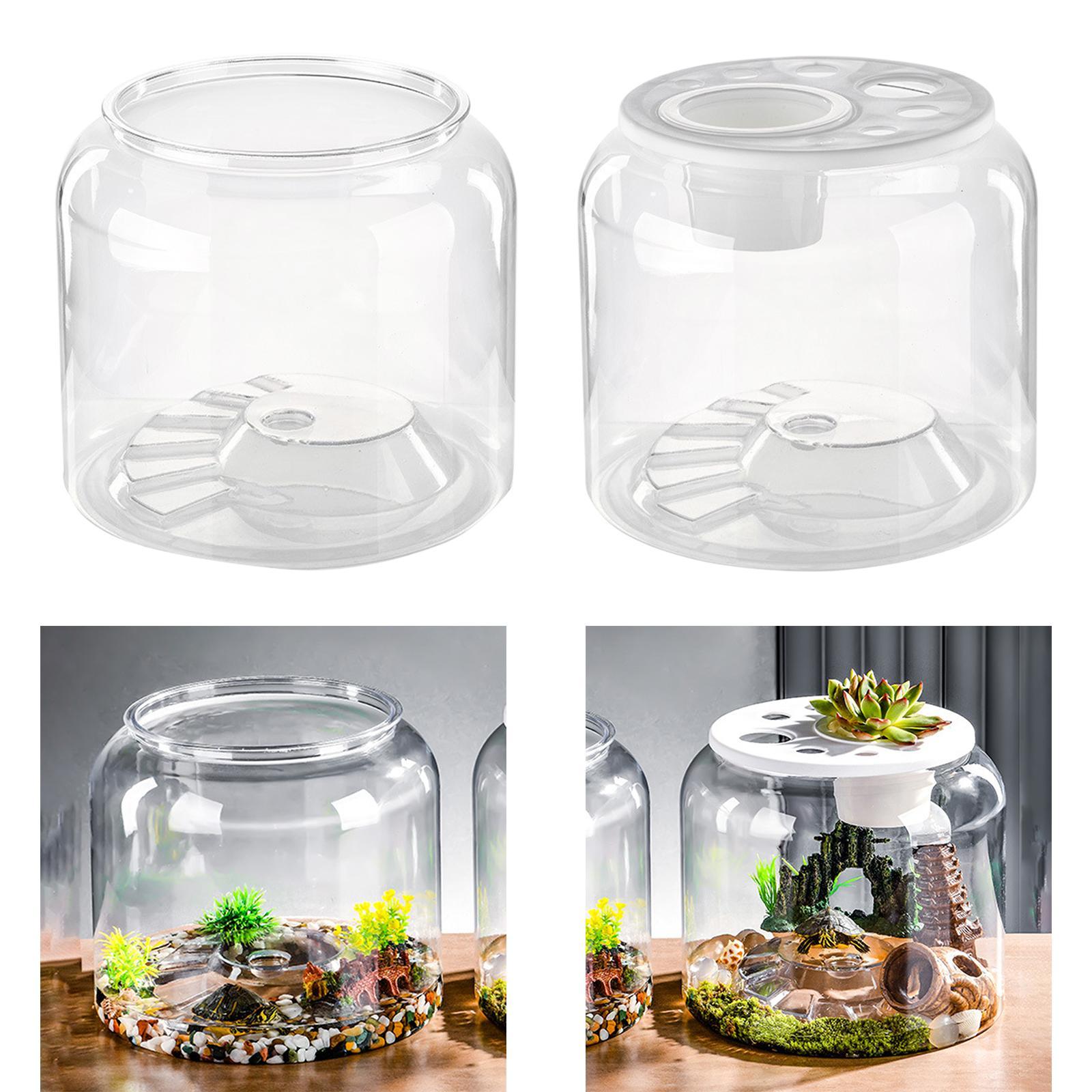 Kaplumbağa Kabı Yüksek Kapasit - Draw Fish Aquarium incelemesi ve fiyatı